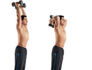 Упражнения на трицепс Как качать трехглавую мышцу плеча